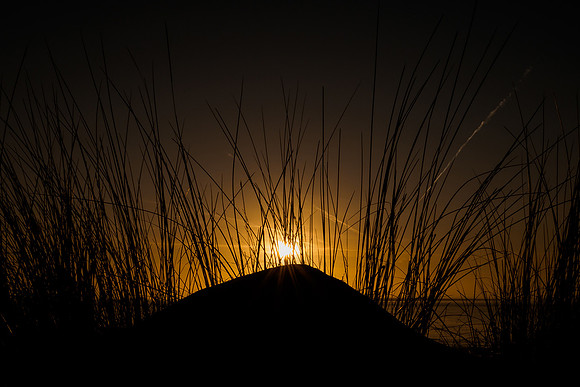 Ameland winter 2019-2020-382