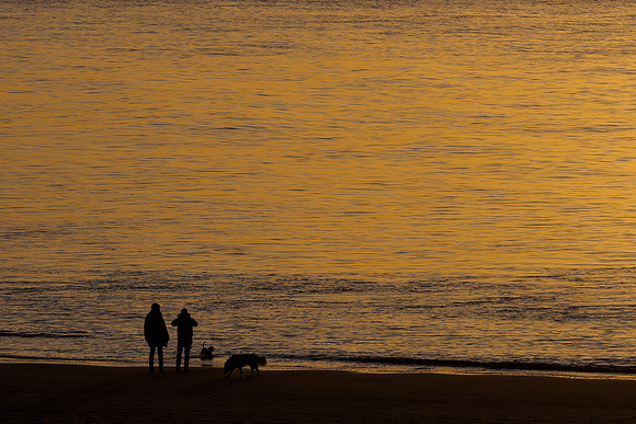 Ameland winter 2019-2020-383
