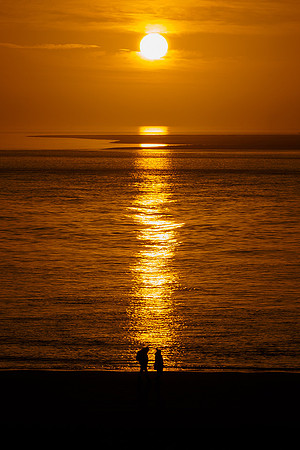 Ameland winter 2019-2020-384