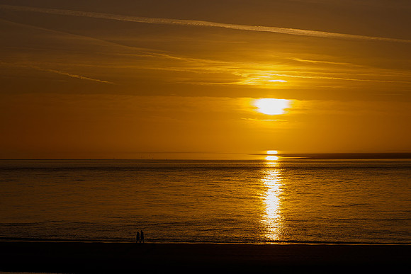Ameland winter 2019-2020-385