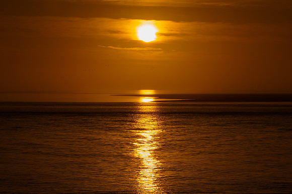 Ameland winter 2019-2020-386