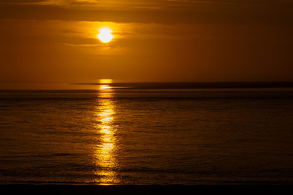 Ameland winter 2019-2020-387
