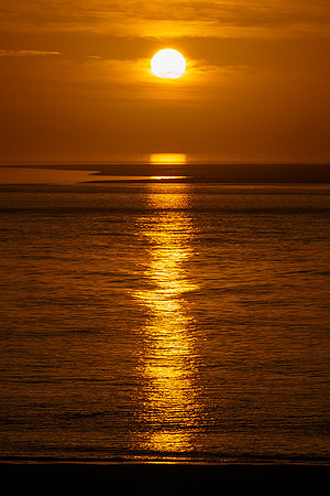 Ameland winter 2019-2020-388