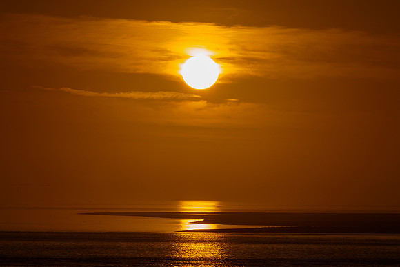 Ameland winter 2019-2020-389