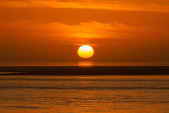 Ameland winter 2019-2020-391