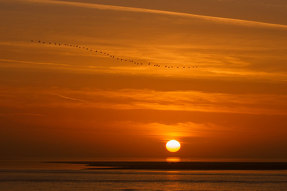 Ameland winter 2019-2020-392