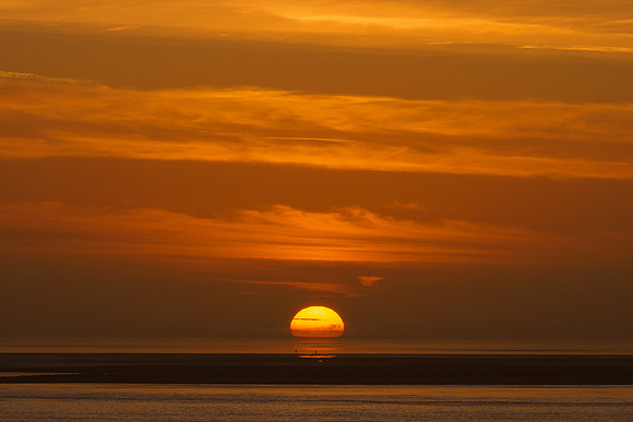 Ameland winter 2019-2020-394