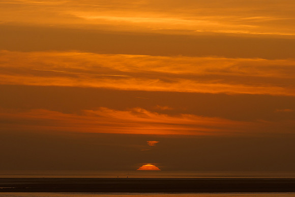 Ameland winter 2019-2020-395