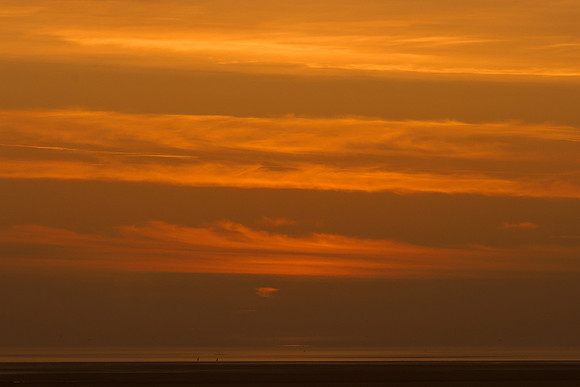Ameland winter 2019-2020-396