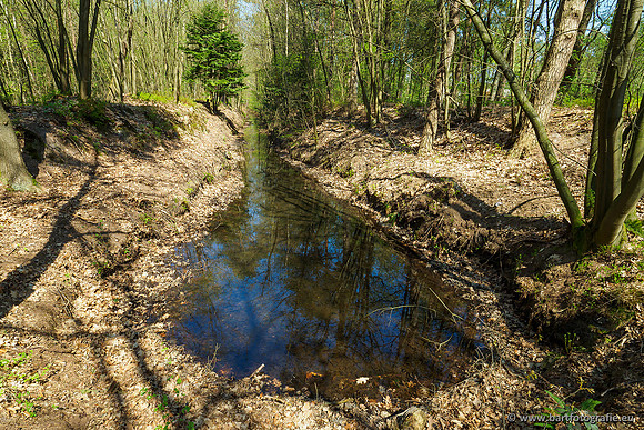 Zuidelijke Heerdense beek 240419-002