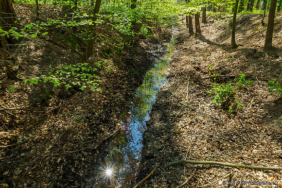 Zuidelijke Heerdense beek 240419-004