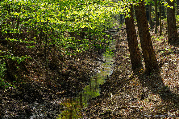 Zuidelijke Heerdense beek 240419-007