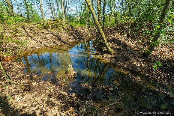 Zuidelijke Heerdense beek 240419-013