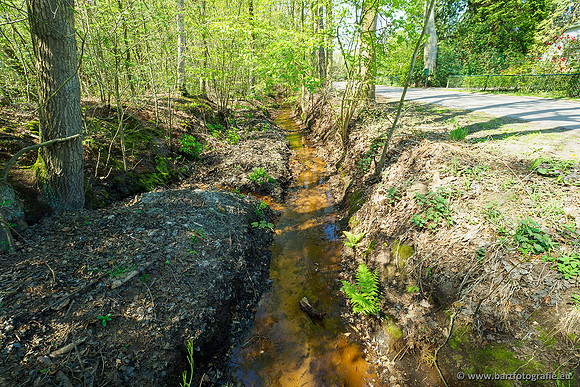 Zuidelijke Heerdense beek 240419-017
