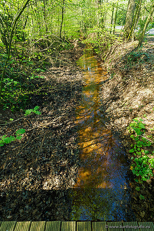 Zuidelijke Heerdense beek 240419-020