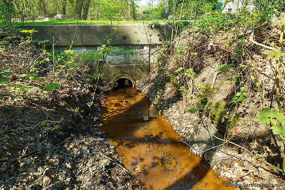 Zuidelijke Heerdense beek 240419-021