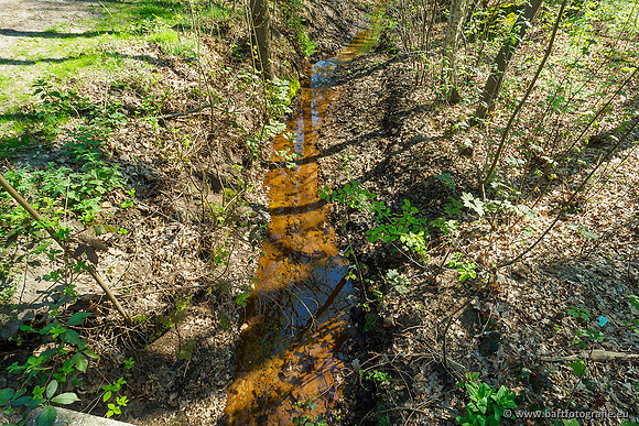 Zuidelijke Heerdense beek 240419-022