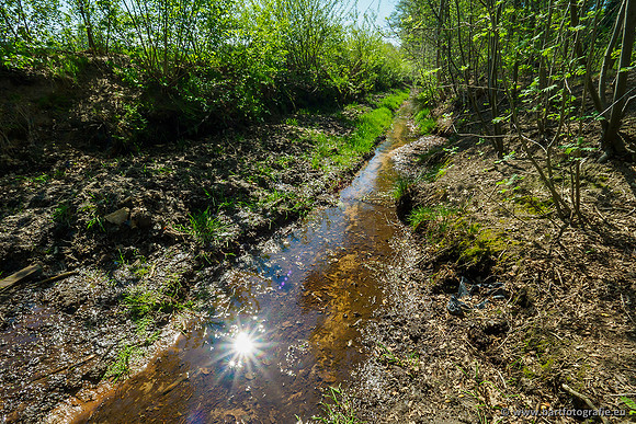 Zuidelijke Heerdense beek 240419-028