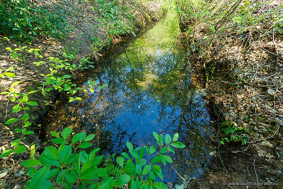 Zuidelijke Heerdense beek 240419-030