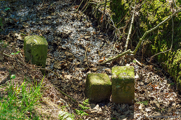 Zuidelijke Heerdense beek 240419-032