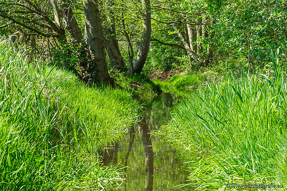 Zuidelijke Heerdense beek 240419-034
