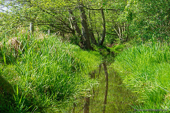 Zuidelijke Heerdense beek 240419-035