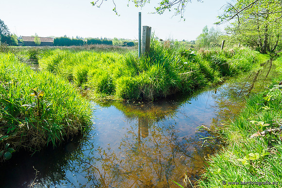 Zuidelijke Heerdense beek 240419-036