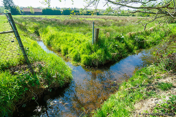 Zuidelijke Heerdense beek 240419-037