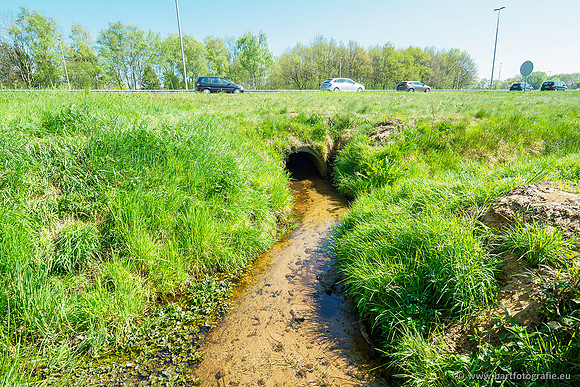 Zuidelijke Heerdense beek 240419-039