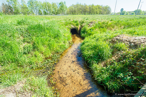 Zuidelijke Heerdense beek 240419-038