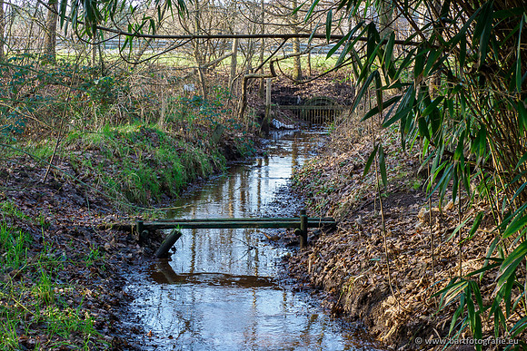 Zuidelijke Heerdense beek 240419-040
