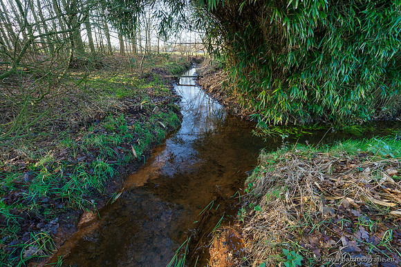 Zuidelijke Heerdense beek 240419-041