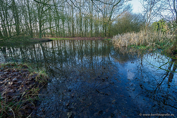 Zuidelijke Heerdense beek 240419-043