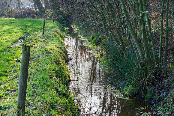 Zuidelijke Heerdense beek 240419-047