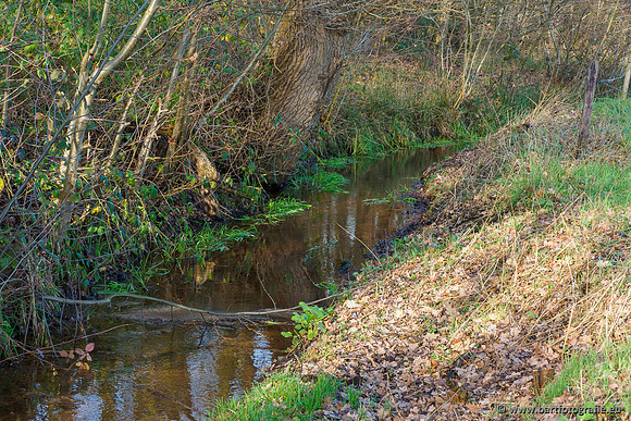 Zuidelijke Heerdense beek 240419-049