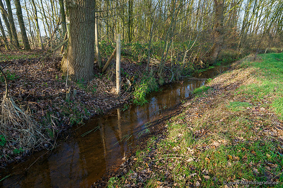 Zuidelijke Heerdense beek 240419-050