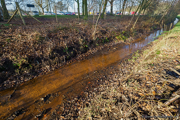 Zuidelijke Heerdense beek 240419-051