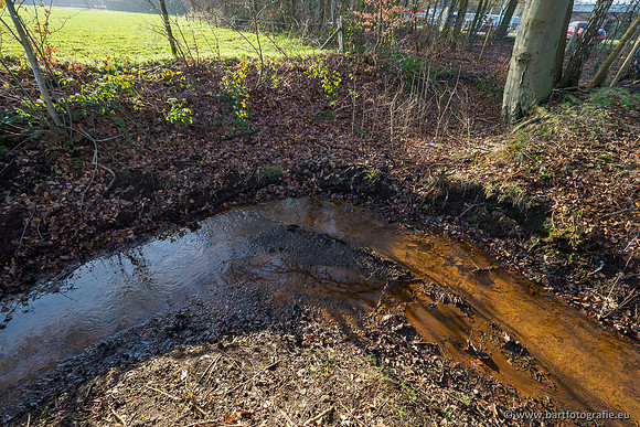 Zuidelijke Heerdense beek 240419-053