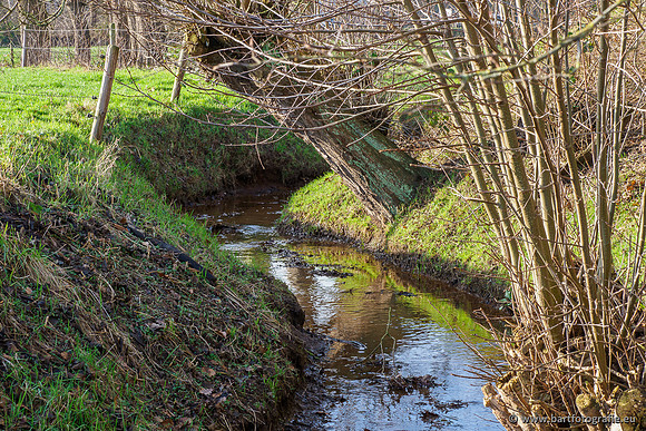 Zuidelijke Heerdense beek 240419-057