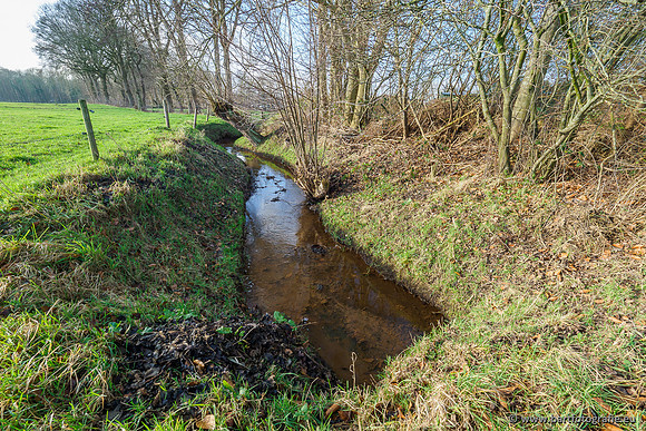 Zuidelijke Heerdense beek 240419-058