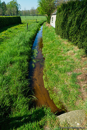 Zuidelijke Heerdense beek 240419-062