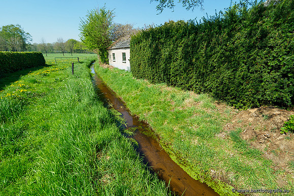 Zuidelijke Heerdense beek 240419-063
