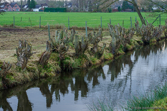 Zuidelijke Heerdense beek 240419-088