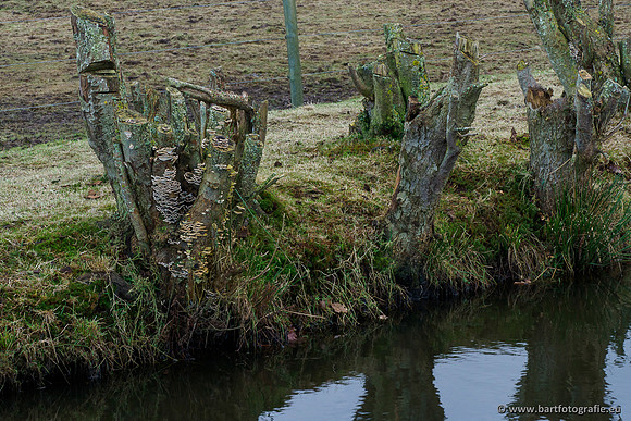 Zuidelijke Heerdense beek 240419-087
