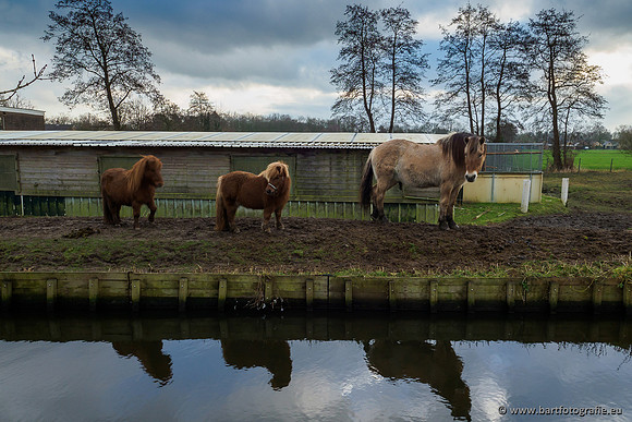 Zuidelijke Heerdense beek 240419-091