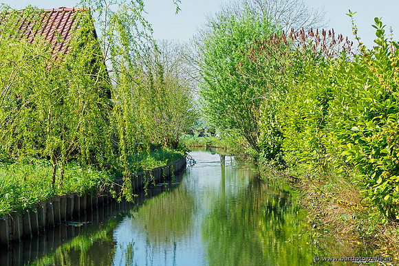 Zuidelijke Heerdense beek 240419-093