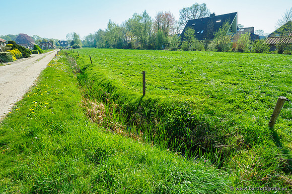 Zuidelijke Heerdense beek 240419-098