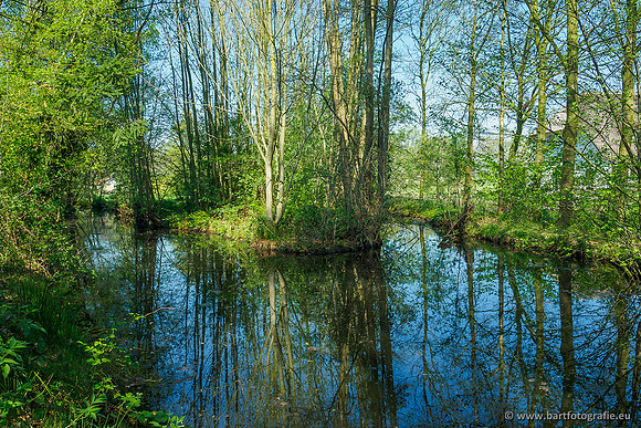 Zuidelijke Heerdense beek 240419-100