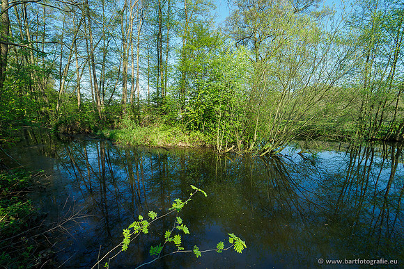 Zuidelijke Heerdense beek 240419-102