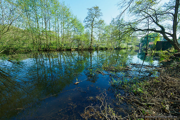 Zuidelijke Heerdense beek 240419-103